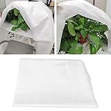 Protectores para Plantas de alta calidad de 30 gsm permite que la luz del sol, el aire y la humedad se filtren, brindando protección al mismo tiempo que brinda una protección mejorada contra las heladas para plantas y arbustos tiernos y jóvenes y también protege las papas tempranas.