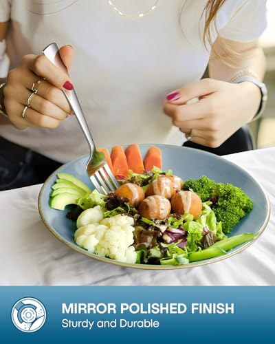 Stapava 20 Piece Silverware Set, Food-Grade Stainless Steel Flatware Sets for 4 Mirror Polished Cutlery Utensil Sets Include Dinner Knives Spoons and Forks Set Dishwasher Safe for Home Restaurant #1