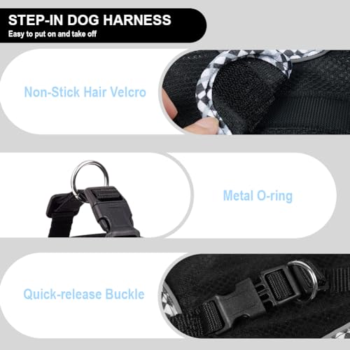 Doggiekit Hundegeschirr Kleine Hunde mit Leine, verstellbares reflektierendes Step in Welpengeschirr Leine, Atmungsaktives Mesh Hundegeschirr,weich gepolsterte Weste für extra kleine/mittelgroße Hunde