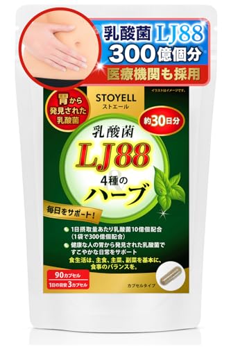 �y���_��LJ88���V�R�n�[�u�z���z �y��Ë@�ւ��̗p�z�T�v�������g �A�[�e�B�`���[�N ���I �������o�[�� �X�g�G�[�� ���_�� LJ88 90������