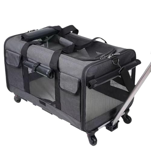 Kizare �L �y�b�g �L�����[�J�[�g �܂肽���� �L�����[�o�b�O ���@�\ ��� ���ɂ��� �y�� �֗� ��e�� ���O���\ ���[�� �Ɨ������L�����[�o�X�P�b�g �􂦂� �É��L���X�^�[ ���s�A���o�����A�����a�@�ւ̒ʉ@�A���̎U���A�A�E�g�h�A�A�N�e�B�r�e