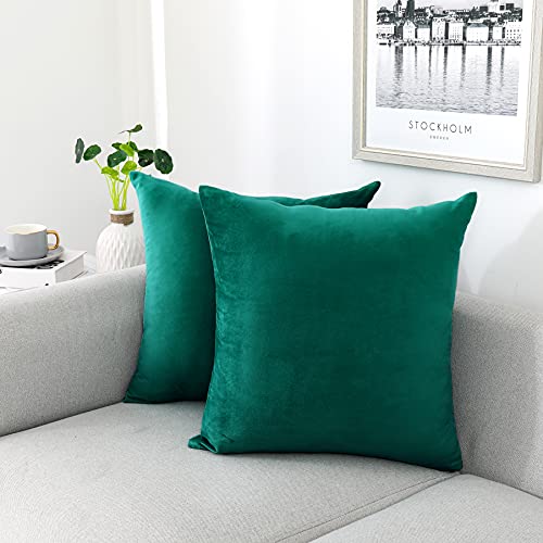NiNi ALL Decorative Throw Pillow Covers Velvet Soft for Couch Sofa Bedroom Living Room Outdoor Pack of 2 18x18 Inch Teal