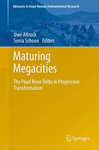 Maturing Megacities view 2