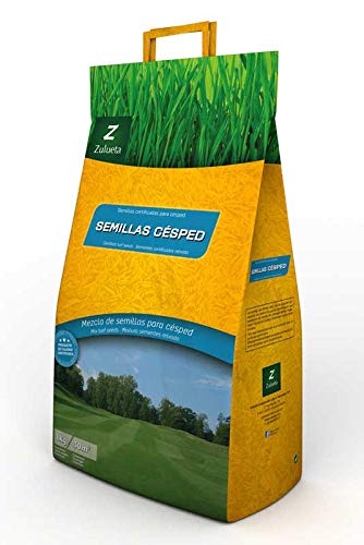 Semilla Césped Classfort - 5 Kg