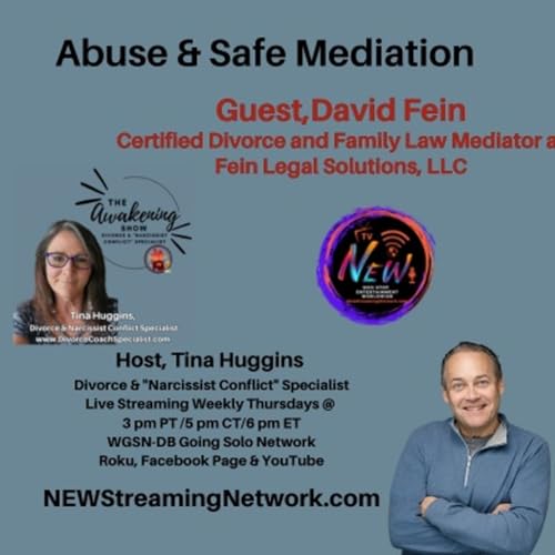 Abuse & Safe Mediation with Guest David Fein