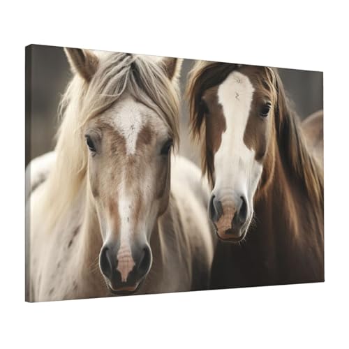 Impression HD deux chevaux LPSRTWE sur toile premium 40,6x61