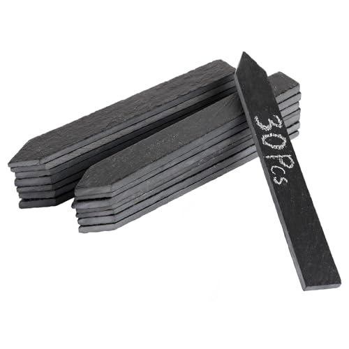 SHUESS 30er Set Kräuterschilder Pflanzenschilder wetterfest aus Schiefer (15x2 cm) – wiederverwendbare Pflanzenstecker für Kräuter, Gemüse & Blumen – langlebige Pflanzschilder für draussen wetterfest