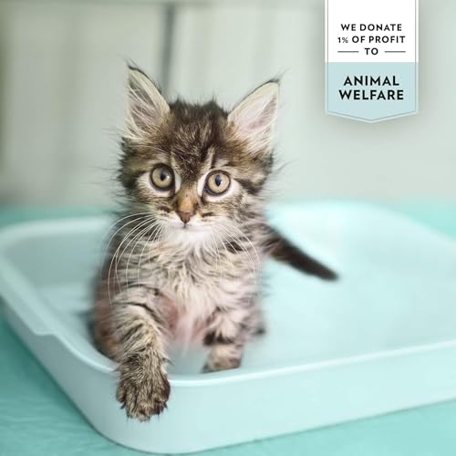 Image of PrimaCat - Hygienic Unscented Cat Litter, Long Lasting Clay, 10L (8.7kg)- Amazon Exclusive