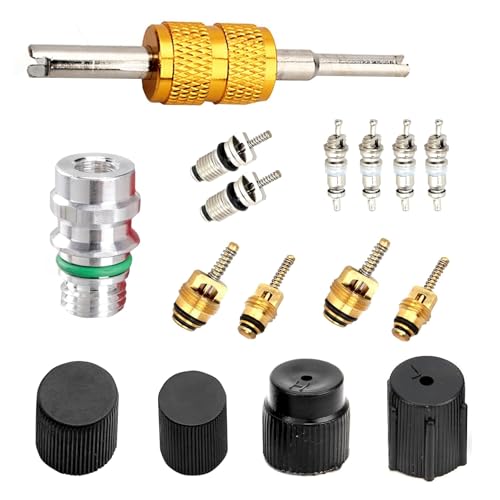 Zosgrew 16 PCS Air Condition Valve Core Kit R134A A/C Ducts Pressure Caps and Service Valves Universal AC System Charging Port Maintain Accessories for Most Cars Trucks SUVs (Black)