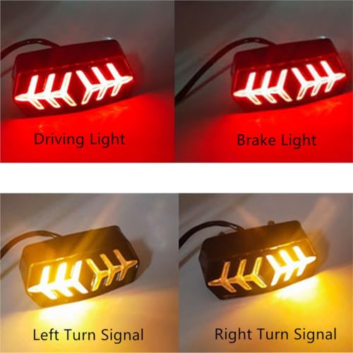 Luz trasera CTX700 con intermitente para ruta 4