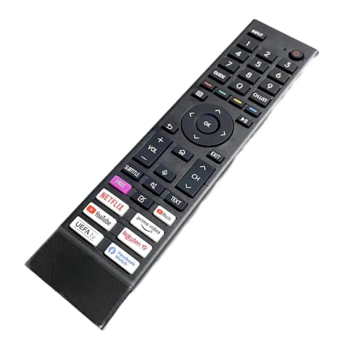 Télécommande TV vocale Bluetooth pour résoudre les pannes ERF3D80H