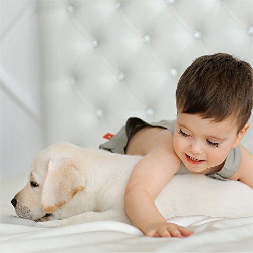 Simply Soft Ultra Soft 4 Piece Bed Sheet Set, California King, Gold #TOP6