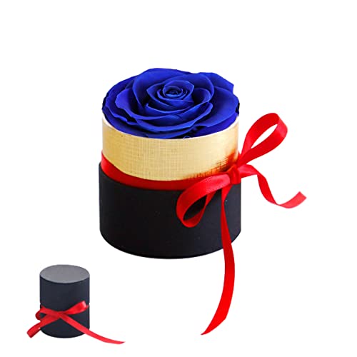 Mini caja de regalo rosa eterna, azul rosas estabilizadas hechas a mano, regalo de San Valentín, rosa eterna, flor nunca marchita, roja niñas regalos de boda, aniversario, regalos románticos, regalo