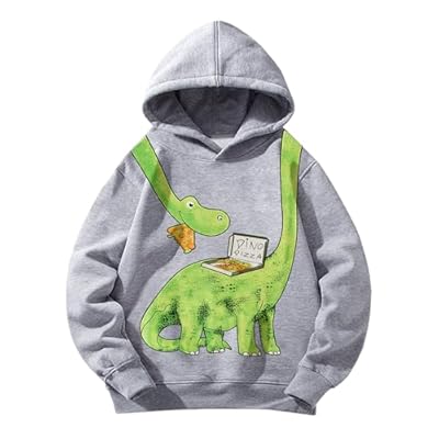 Pilipulu Sudaderas con Capucha para Niño de Algodón, Dinosaurio Sudadera para Niños Casual Hoodie for Boys, Sweatshirt con Capucha de Otoño y Primavera para Infantiles 5 Años, Gris/Dinosaurio | Ya disponible en tu tienda friki favorita! En mundofriki.es!