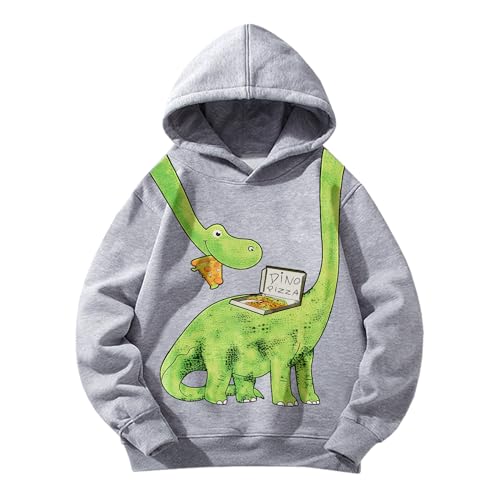 Pilipulu Jungen Kapuzenpullover Kinder Hoodie Jungen Sweatshirt Baumwoll Kapuzenjacke Dinosaurier Bagger für Kinder 3-8 Jahre, Grau/Dinosaurier, 128