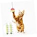 BESPORTBLE 10pcs Cat Teasing for Indoor Play Engaging Pet Toys to Curiosity and Exercise