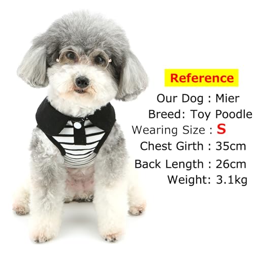 Zunea Striped Dog Shirts for Small Dogs Summer Puppy Clothes with D-Ring Soft Breathable Basic T-Shirt Pet Dog Cat Sleeveless Vest Tank Top Doggy Chihuahua Toy Poodle Apparel M - Image 3