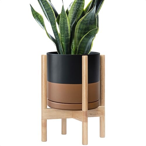 D'vine Dev Ceramic Planter with Natural Stand - 10 Inch Modern Ro...