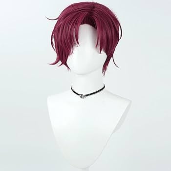 ✠天堂天彦 ウィッグ✠セット済 カリスマ コスプレ CHARISMA カリスマ 性のカリスマ 天堂天彦 テンドウ アマヒコ
