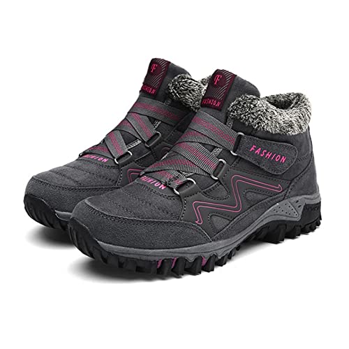 [_LV] Y Xm[u[c fB[X 26.0cm V[gu[c h h  y ~u[c N  V[gu[c {At ~ O[ AEghA ӂӂ H~ ᔽ [gu[c Xm[V[Y NC~O