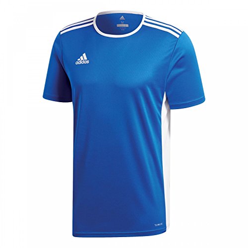 T-shirt sport homme adidas Entrada 18 maillot football en polyester