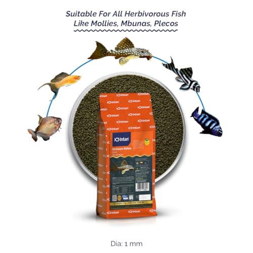 Image of Intan Herbivore Wafers (Small 1mm Sinking) | 1Kg - Highly Nutritious Ornamental Fish Food for Herbivorous Fish - Mollies, Mbunas & Plecos | Growel Feeds