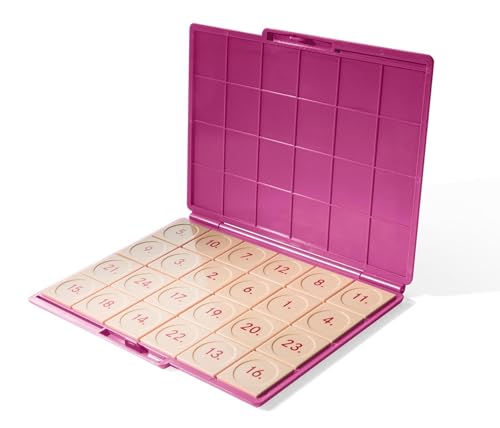 LÜK: Kontrollgerät pink mit 24 Aufgabenplättchen (kompakt) Neuere...