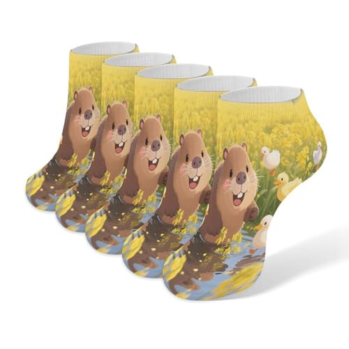 VstaDank Cute Capybara Ankle Socks 5 Pairs Fashion Invisible Low Cut Sock for Adult Casual Short Sock Soft Cozy No Show Socks
