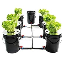نظام نمو DWC Hydroponics 5 جالون 6 دلاء ، آلة Hydroponic متعددة البرميل 20 لتر ، ثقافة المياه العميقة الداخلية 6 مواقع متنامية مع دلو تبادل المياه