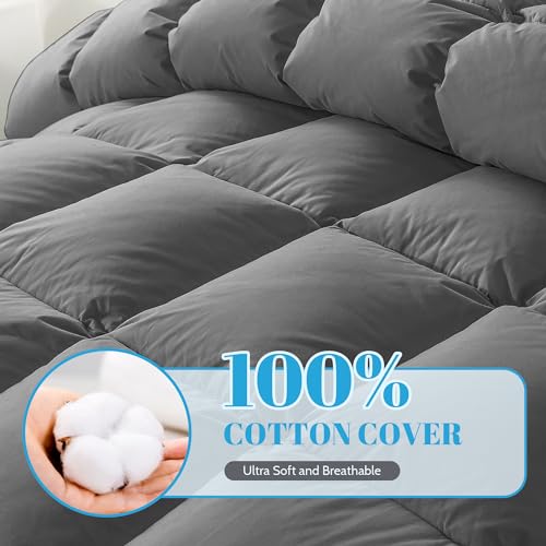 Cosybay Twin Size Feather Down Fiber Comforter Ultra Fluffy Duvet Insert, All Season Cotton Cover Luxury Hotel Bed Comforter with Corner Tabs, Grey 68x90 Inches
