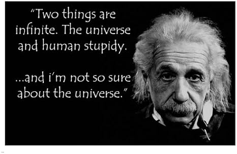 Albert Einstein Funny Quotes Human By Albert Einstein Quote From Tonto Poster 24 X 36 Days Funny New :  Amazon.de: Home & Kitchen