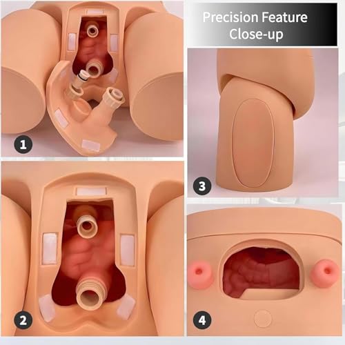 Katheterisatie klysma oefenpop model, PVC onderwijs simulator met afneembare onderdelen voor realistische urethra katheterisatie training - Afbeelding 6