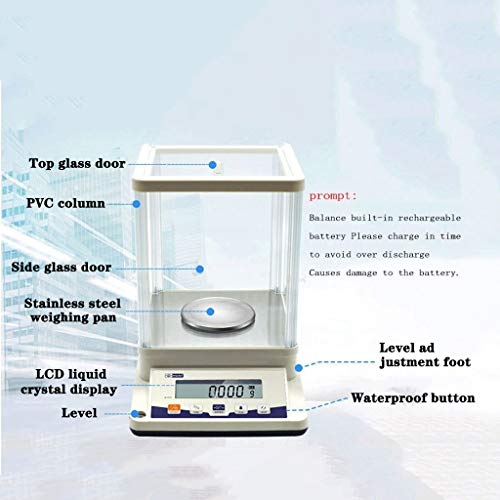 Bilancia analitica di precisione 0,001 g, Bilancia Digitale di precisione da Laboratorio, Elettronica scientifica, Display LCD con paravento (310 g/0,001 g) ()
