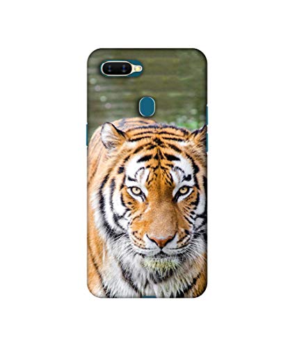 Image of Amazon Brand - Solimo Designer Tiger in Water 3D Printed Hard Back Case Mobile Cover for Oppo A7