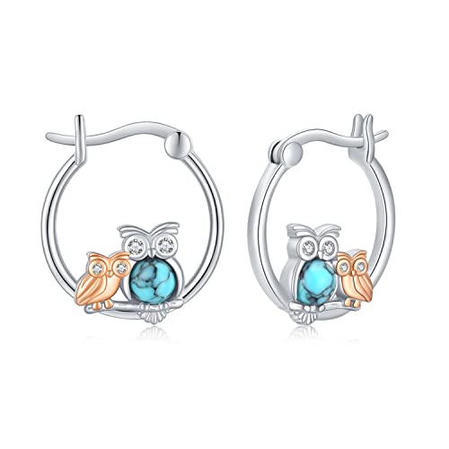 Owl Earrings Sterling Silver Mother Child Owl Huggie Hoop Earrings Hypoallergenic Turquoise Jewelry Mother's Day Gifts For Women Girls Daughter #TOP12