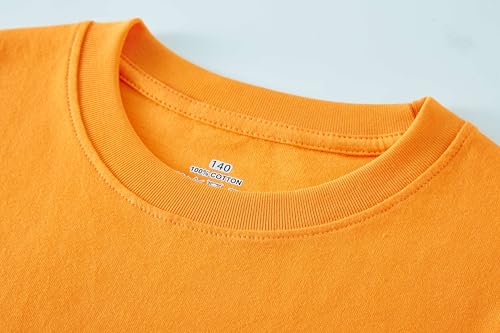 Image of Cadidi Dinos Boys Girls Long Sleeve Shirts Cotton Casual Crewneck Printed Kids T-Shirts