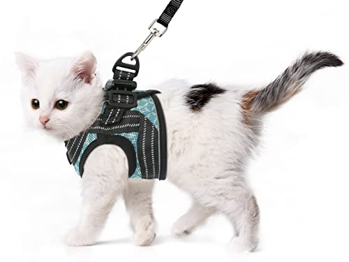 CatRomance Kätzchengeschirr und Leine Cover