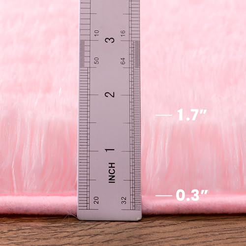 2x3 Fluffy Pink Area Rug - Soft Cute Shag Fuzzy Rug for Bedroom - Anti-Skid Living Room Girls Rug Pink Home Decor