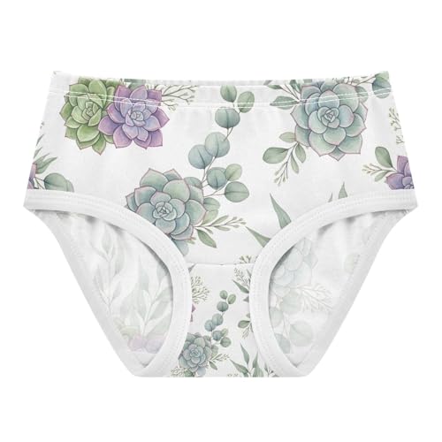 Watercolor Succulents Girls' Underwear, Toddler Briefs, Cotton Girls Underwear, 2–8 Years