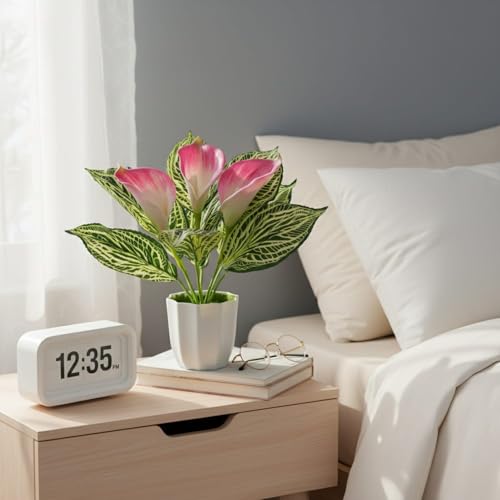 Image of fancymart Artificial Calla Lily Plant with Pot - 30 cm Height Decorative Flower Leaves (Pack of 1) | Realistic Faux Plant for Home & Office Decor | Table, Shelf & Desk Decoration