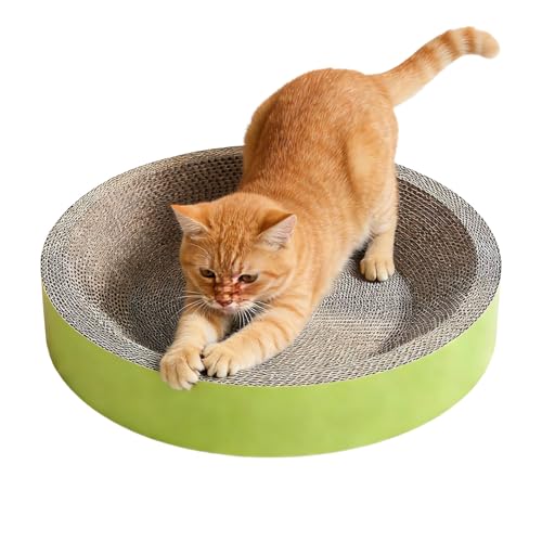 Rascador para Gatos – Cubo rascador como Juguete para Gatitos, Almohadillas para rascar Gatos en Forma de Concha – para Proteger Tus Muebles y enriquecer el Comportamiento Natural de Tus Gatos