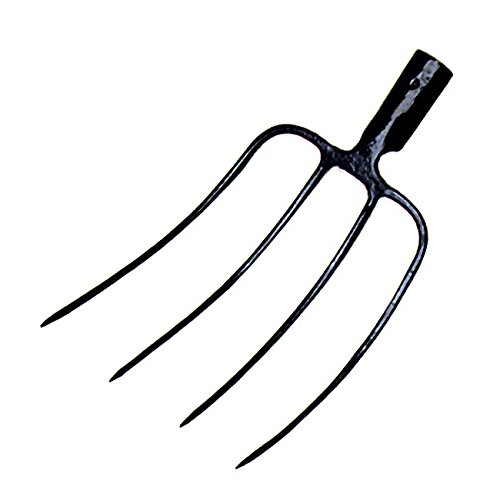 Papillon Forca 2 Denti per Fieno o Letame Senza Manico â