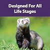 Mazuri | Ferret Food | 5 Pound (5 LB) Bag