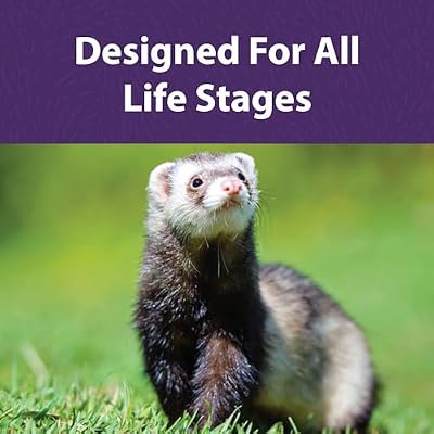 Mazuri | Ferret Food | 5 Pound (5 LB) Bag