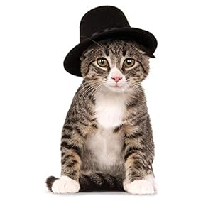Rubie’s Top Hat for Your Pet, Medium/Large
