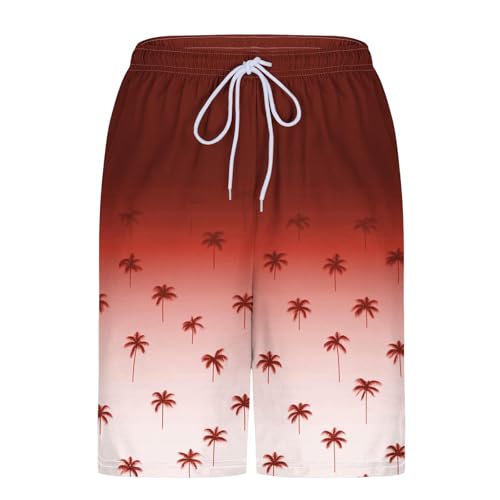 Mens Summer Casual Beach Shorts 2 in 1 Trunks Comfortable Quick Dry Elastic Waist Shorts Graphic Coconut Tree Print4