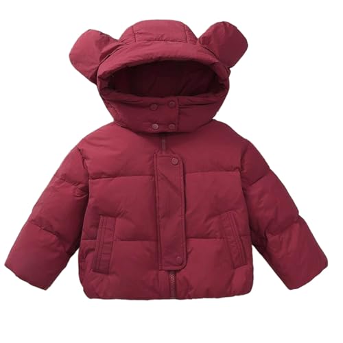 Bear Ears Hooded Boys Girls for Jacket Light Winter Warmth Puffer Jacket Kids Cotton Comfortable Outdoor Outerwear