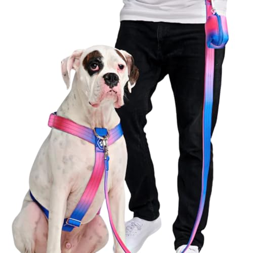 Best Harness for Strong Pullers: Choosing the Right Gear for Your ... - Sturdy Walking Harness For Strong Energetic Dogs