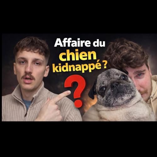 ALBERT LE CHIEN KIDNAPP&Eacute; DE CYRIL SCHREINER mon avis