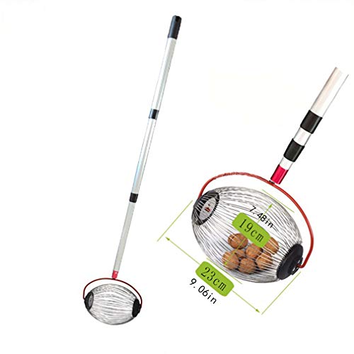Homgrace Rouleau Ramasse Noix, Cueilleur de Noix en Acier Inoxydable Récolteuse de Fruits à Rouler À Cueillir Des Fruits Pour Les Noix, Les Pruneaux,Outil de collecte de grande capacité